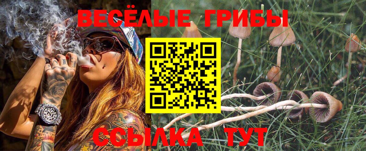 Галлюциногенные грибы MAGIC MUSHROOMS Шатура